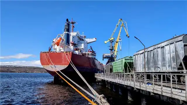 За шесть месяцев «Портовый альянс» обработал почти 290 тысяч вагонов