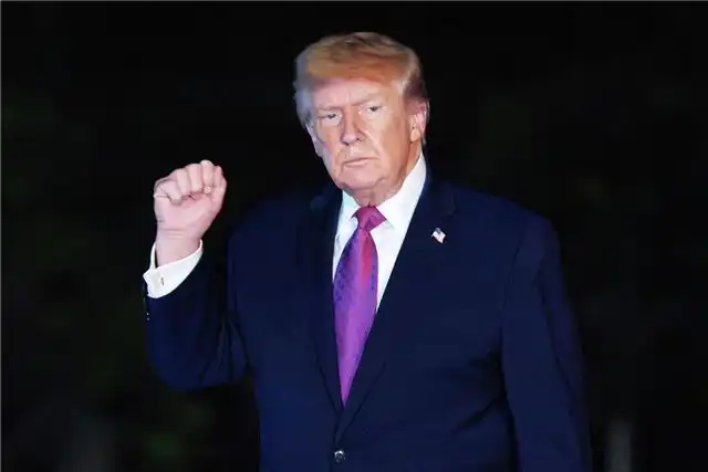 Маск и Кук отправятся в Китай вместе с Трампом на этой неделе