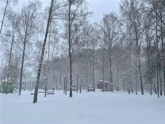 Нижний Новгород накрыло ливнями — выпало более двух месячных норм осадков