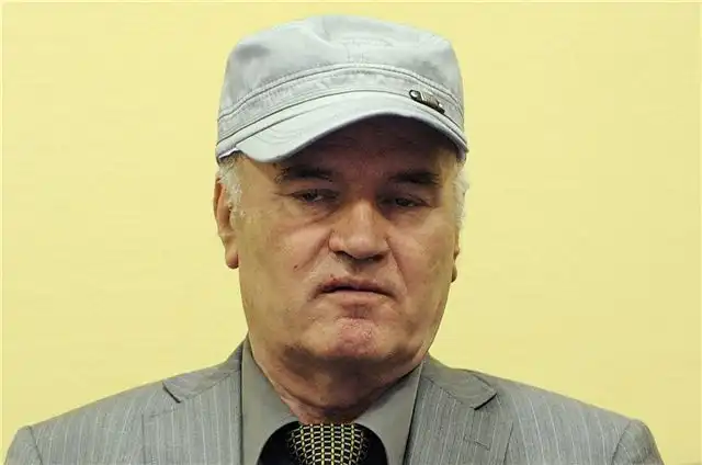 Наследник генерала Младича рассчитывает на внимание Совета Безопасности ООН к своей ситуации