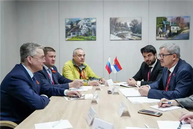 Владимиров и Гламочич согласовали укрепление партнерства между Ставропольем и Сербией