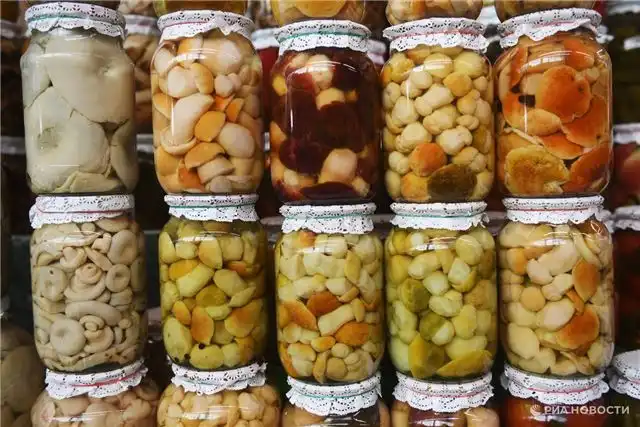 Маринуем, солим, жарим — подробные рецепты заготовок грибов